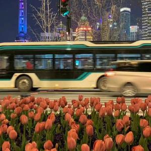 欧美激情无码❌❌❌喷水丝
